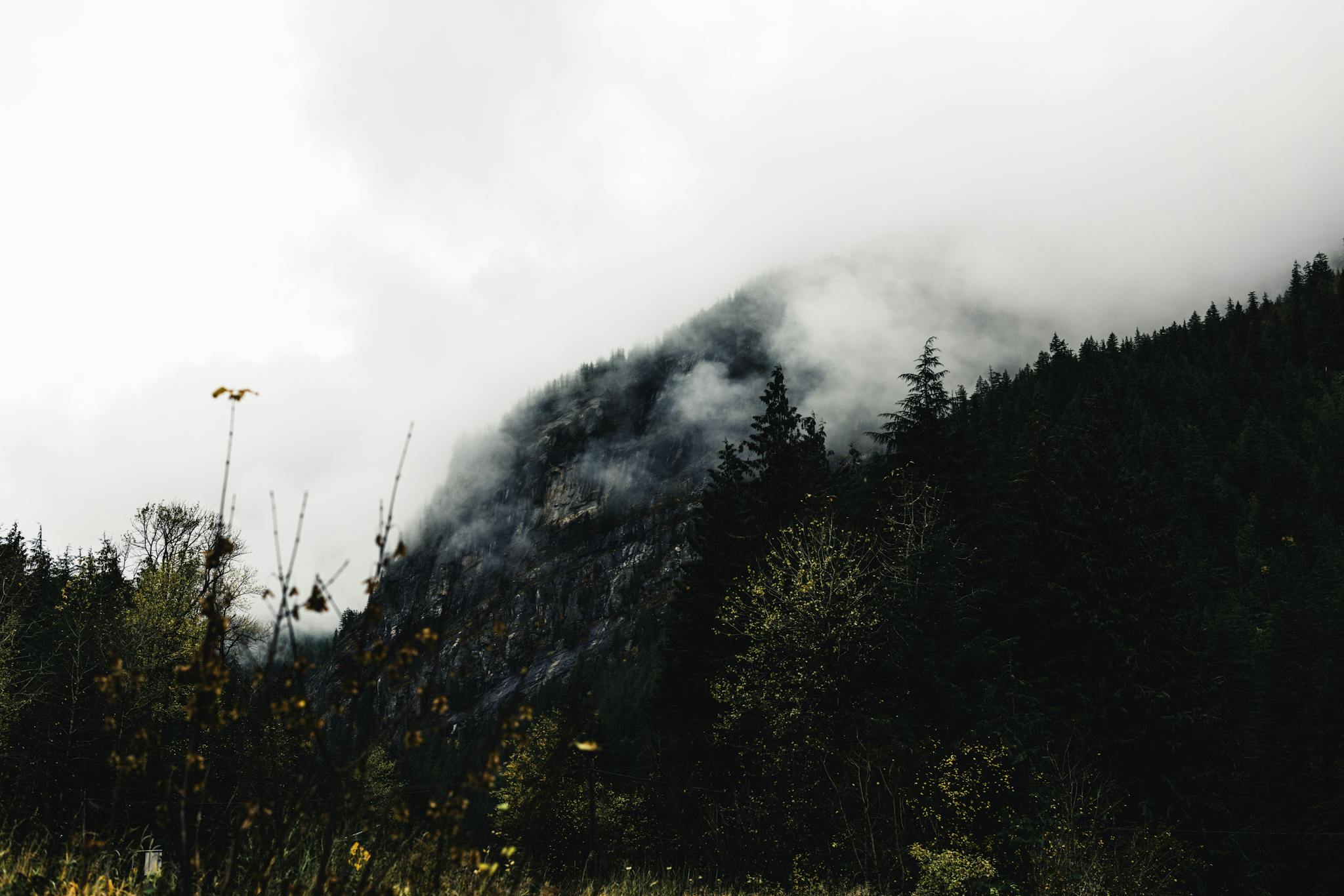 A foggy, forested mountain landscape in Gibsons, BC, captures the serene beauty of nature.