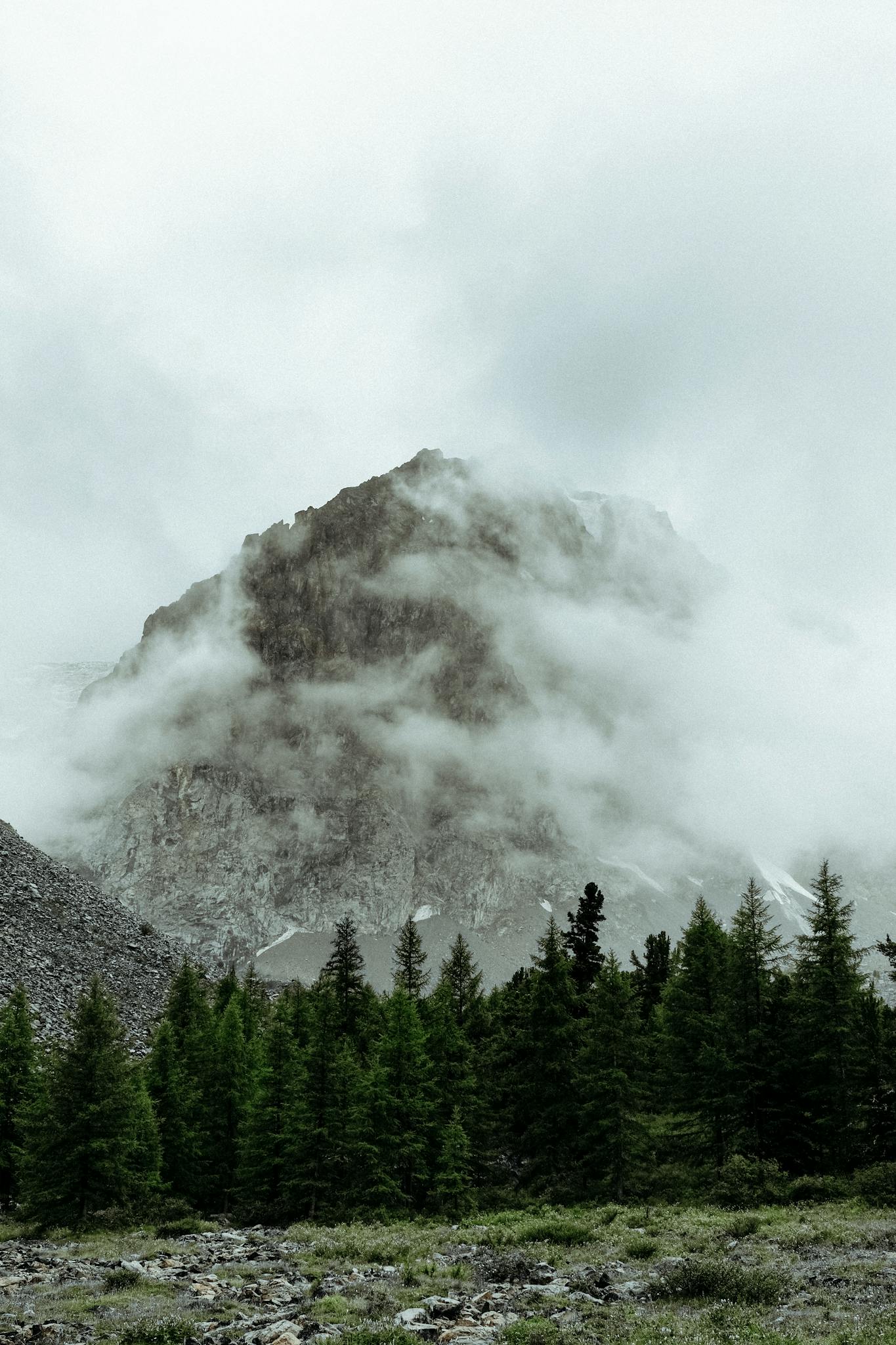 A dramatic view of a misty mountain peak piercing through clouds, surrounded by an evergreen forest.