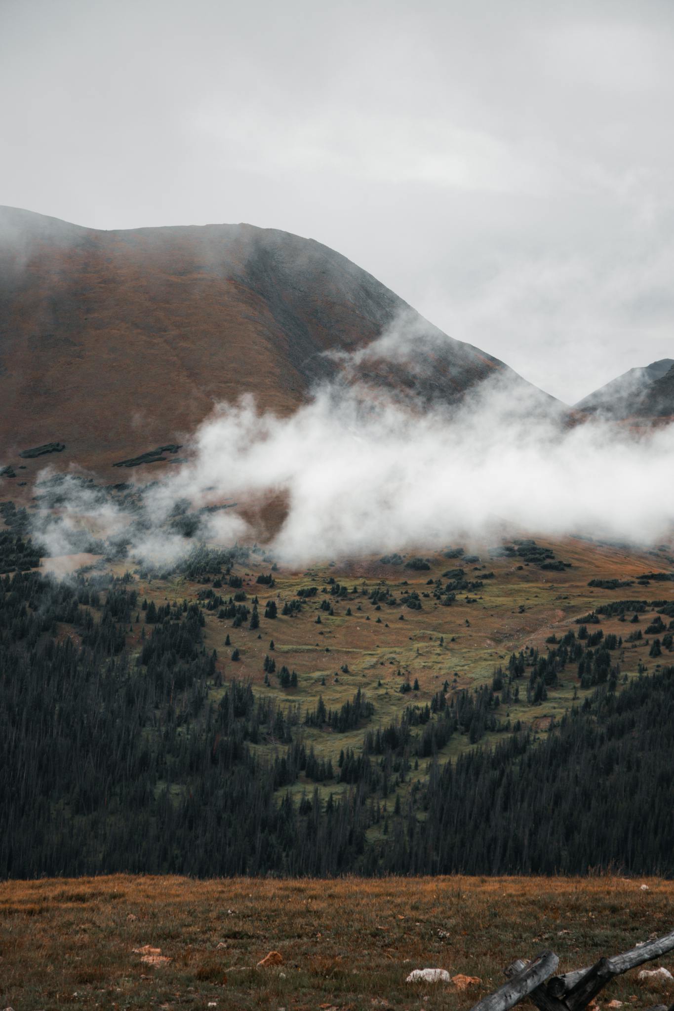 Captivating mist-covered mountain scene in the Rocky Mountains showcasing autumn scenery.