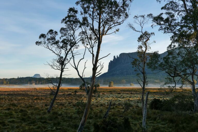 Explore the breathtaking wilderness of Tasmania with its stunning cliffs and serene atmosphere.