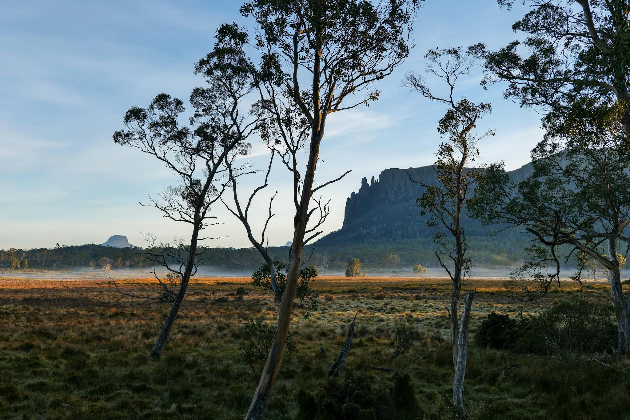 Explore the breathtaking wilderness of Tasmania with its stunning cliffs and serene atmosphere.