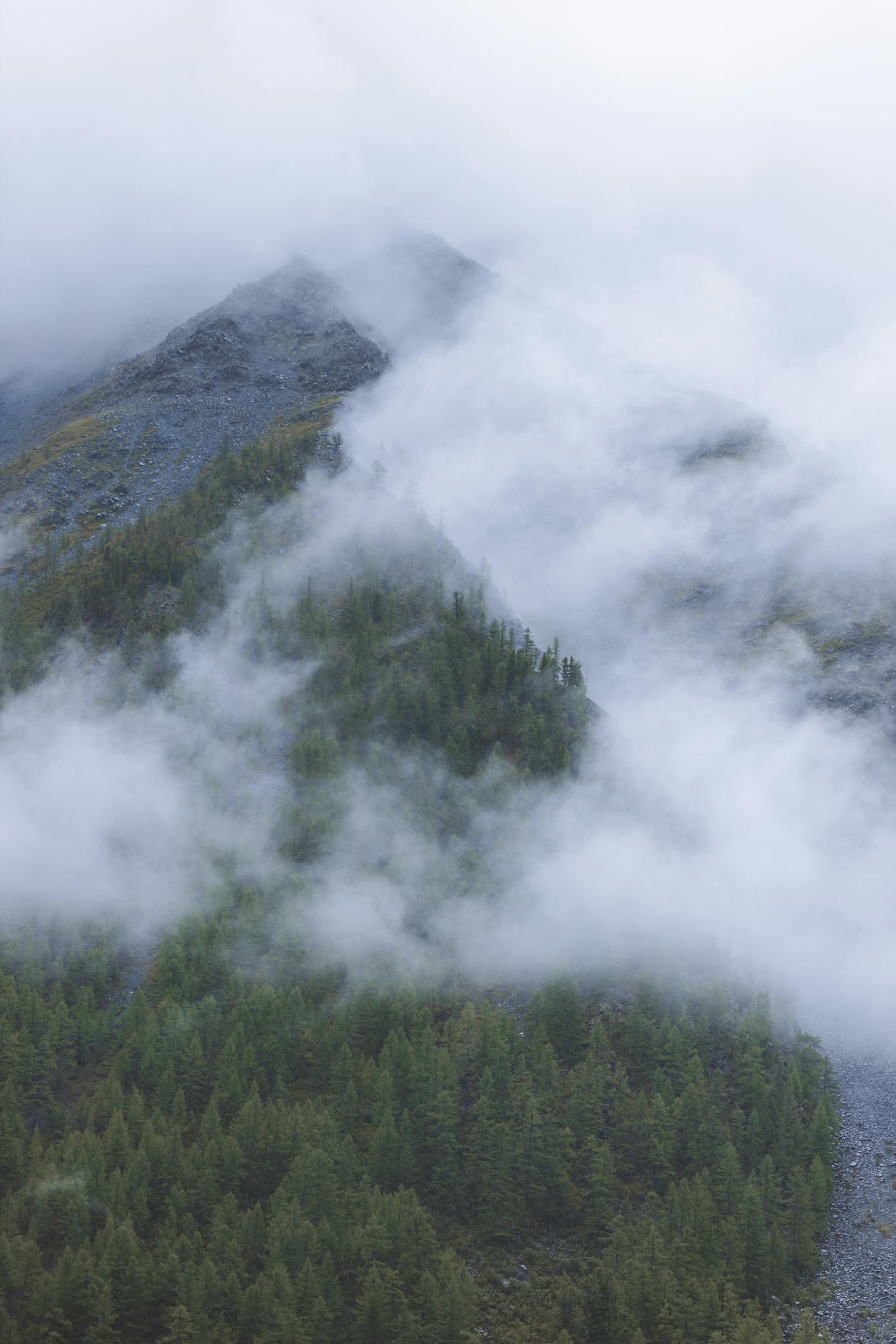 Foggy mountain landscape in Altai with lush forests and dramatic clouds.